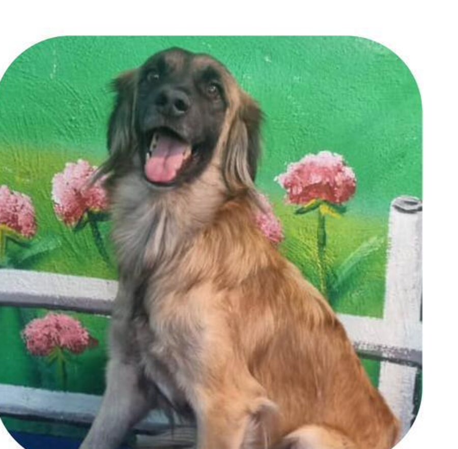 Billy — weiteres Foto