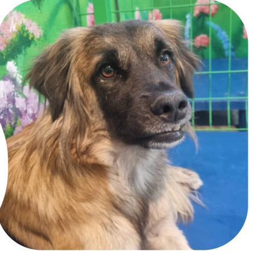 Billy — weiteres Foto