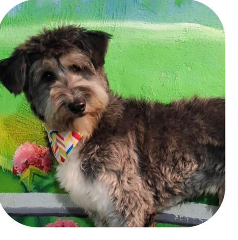 Casper — weiteres Foto